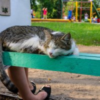На лавочке в парке :: Владимир Иванович