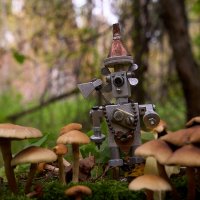 *** :: Владимир 