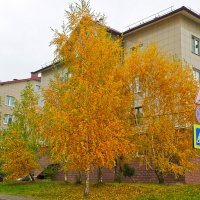 Золото осени :: Светлана Золото осени :: Светлана