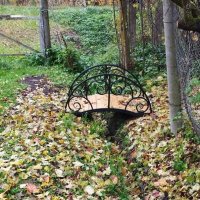 Осенний мостик :: Сергей Лындин