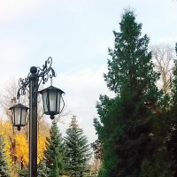 Уютный уголок осени... :: Елена Уютный уголок осени... :: Елена