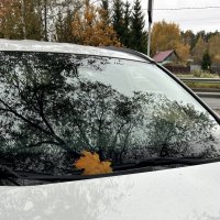 Осень :: Светлана Ященко