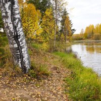 Октябрь на берегу пруда :: Сергей Ц
