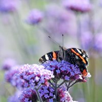 Октябрь :: Михаил Бибичков