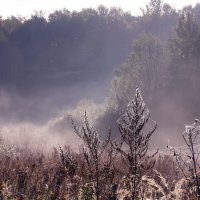 Октябрь :: Михаил Бибичков