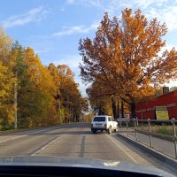 Осень. :: tatiana Осень. :: tatiana