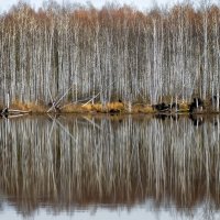 ..... :: александр 