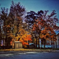 ***** :: Алексей Архипов