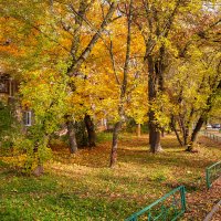 Осень у дома :: Александр Синдерёв