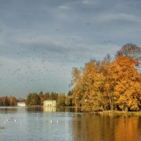 Гатчина :: Владимир Колесников Гатчина :: Владимир Колесников