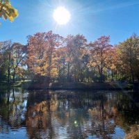 Осень :: Сапсан 