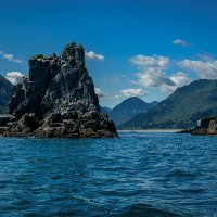 ... :: Жора Житников