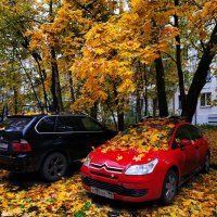 Золотая пора в городе :: Андрей Лукьянов Золотая пора в городе :: Андрей Лукьянов