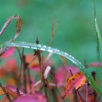Осенняя погода. :: Владимир Безбородов