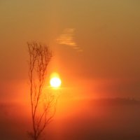 На восходе :: Любовь Сахарова