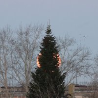 Суперлуние 07.10.25. :: Любовь Сахарова