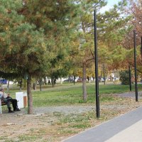 Осень :: Венера Чуйкова