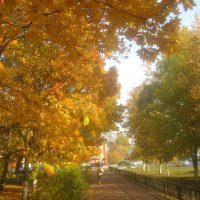 В золотую осень :: Елена Семигина