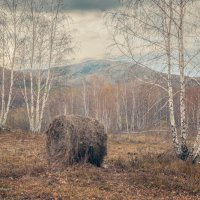 Октябрьский осенний день. :: Николай Привалов