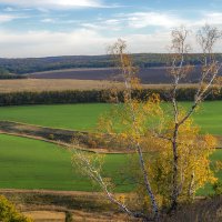 Палитра Осени :: Наталья Димова