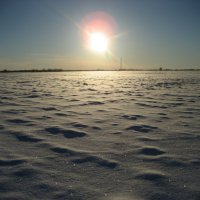 Поле :: Anna Ivanova