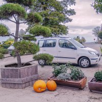 ... :: Светлана Ищенко