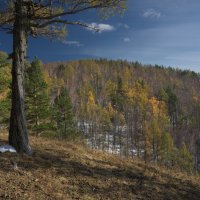 * :: Александр Иванов