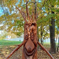 Вторая жизнь дерева. :: Лия ☼