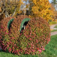 Осень :: Владимир Колесников