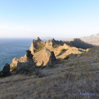 Природа Крыма :: Amazing Cosmea