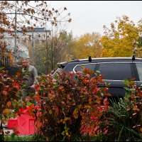 Краски осени 1 :: Сергей Премонишын