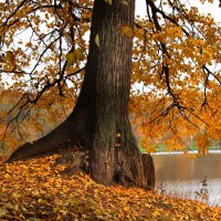 . :: РИТА ЛЕВКОВА