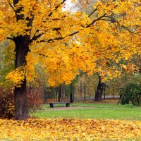 . :: РИТА ЛЕВКОВА