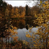 Краски осени 4 :: Сергей Премонишын