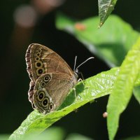 Это было летом... :: Владилен Панченко Это было летом... :: Владилен Панченко