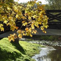 осень :: ИННА ПОРОХОВА осень :: ИННА ПОРОХОВА