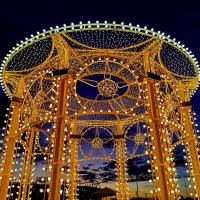 Крупным планом! :: Надежда Крупным планом! :: Надежда