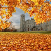 Гатчина :: Владимир Колесников