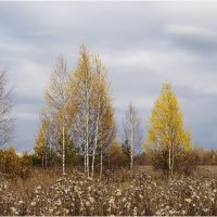 Октябрь :: Валентин Котляров