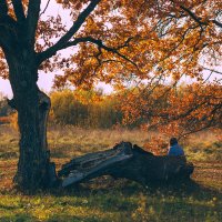 Тихая грусть. Осень. Октябрь :: Вячеслав Владимирович