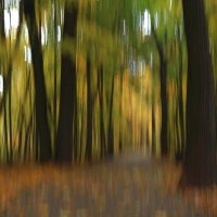 В парке в октябре :: Александр Орлов