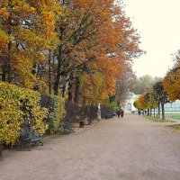 Осень в Кусково :: Татьяна Тюменка Осень в Кусково :: Татьяна Тюменка