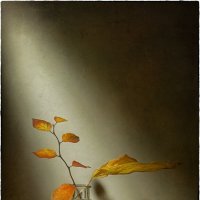 *** :: Oleg Rastorguev *** :: Oleg Rastorguev