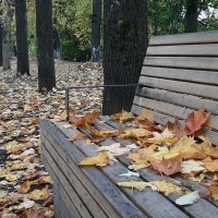 Шлиссельбург. Октябрь 2025 :: Наталья Герасимова