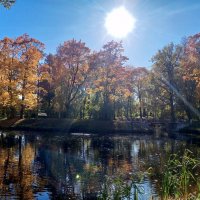 Осень :: Сапсан 