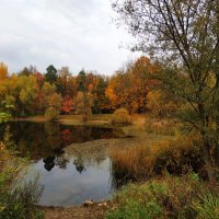 Золотая! :: Андрей Лукьянов