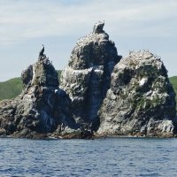 Кекуры Приморского края :: Лидия Бусурина