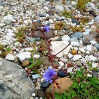 На границе с Абхазией :: Tata Wolf На границе с Абхазией :: Tata Wolf