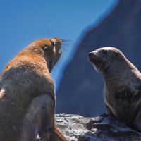 ... :: Жора Житников