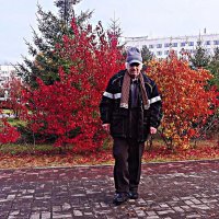 Из серии "Осенние пожары в природе"! :: Владимир 